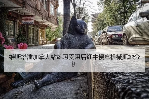 维斯塔潘加拿大站练习受阻后红牛慢弯机械抓地分析